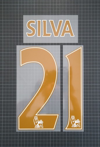 Silva 2013 2017 player - 2013-2017,